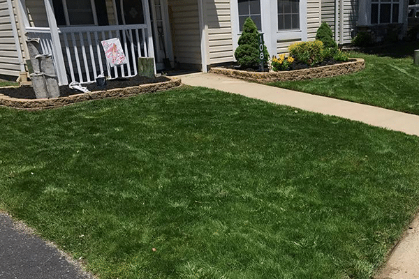 sod services