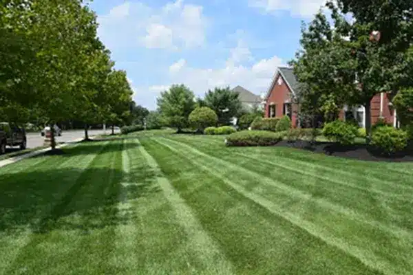 lawn-cutting